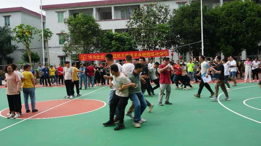 香港六台港澳宝典